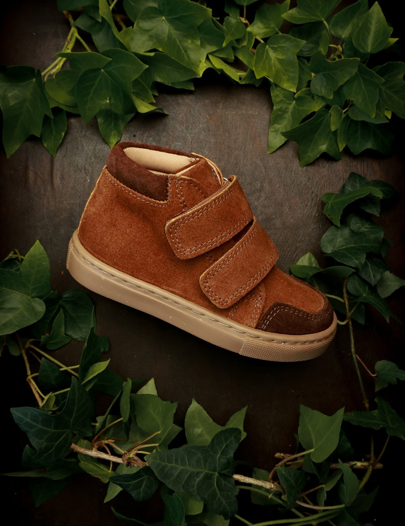 Petit Nord Sneaker Sneakers Chestnut Suede 155